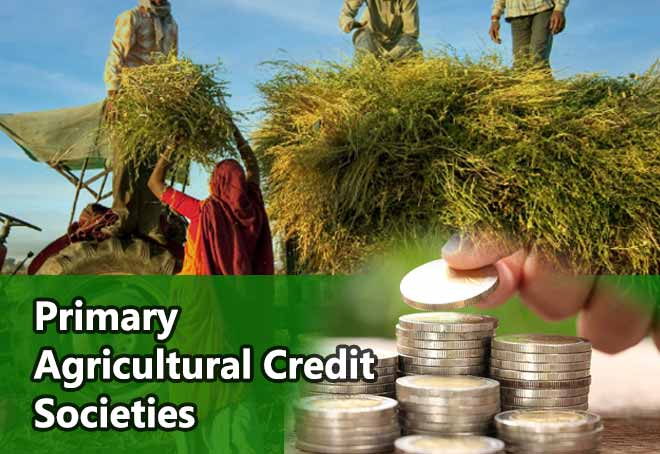 पी ए सी एस: भारत में ग्रामीण विकास के लिए वहन योग्य ऋण